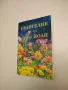 Аз – гадателката - Наина Владимирова, снимка 5