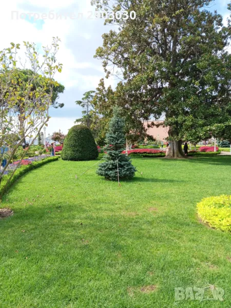 Почистване на Дворове Вили Парцели, снимка 1