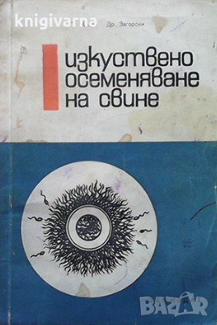 Изкуствено осеменяване на свине Георги Калев, снимка 1
