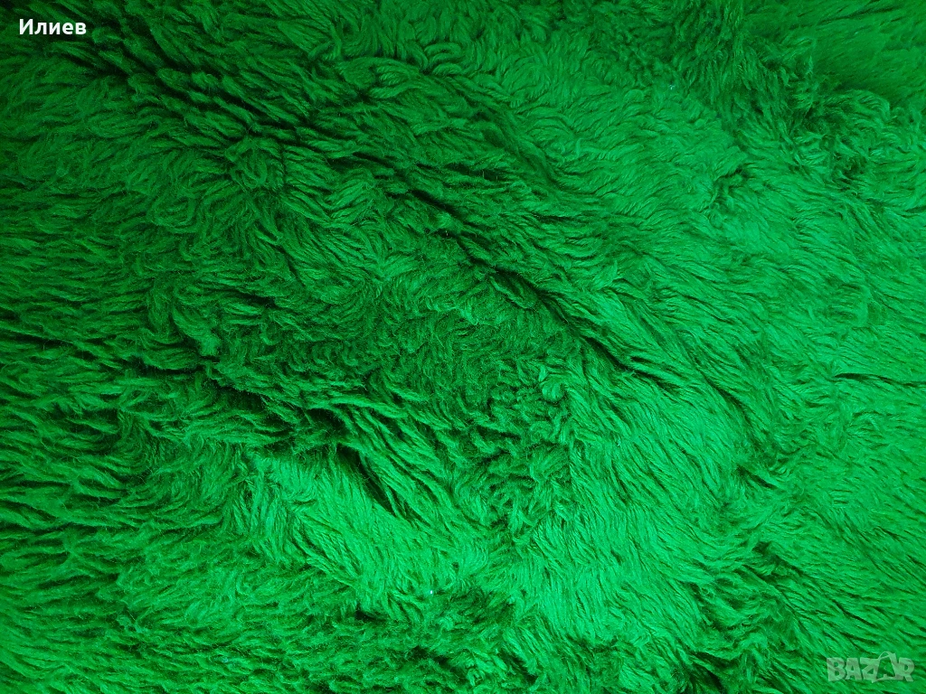 Китеник едноцветен, снимка 1