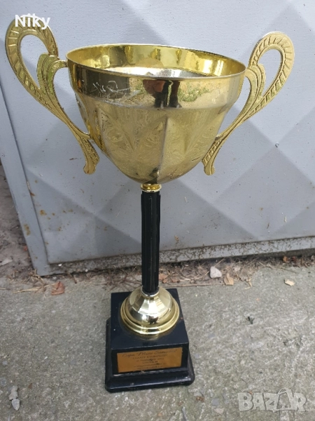 Спортна купа по карате , снимка 1