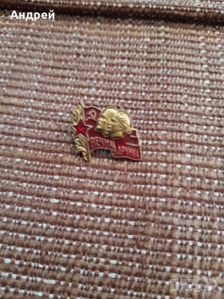 Стара значка Вечна дружба, снимка 1