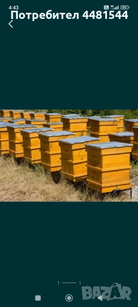 Пчелни семейства , снимка 1
