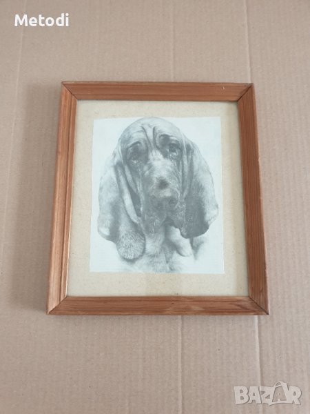 Стара снимка на куче в дървена рамка., снимка 1