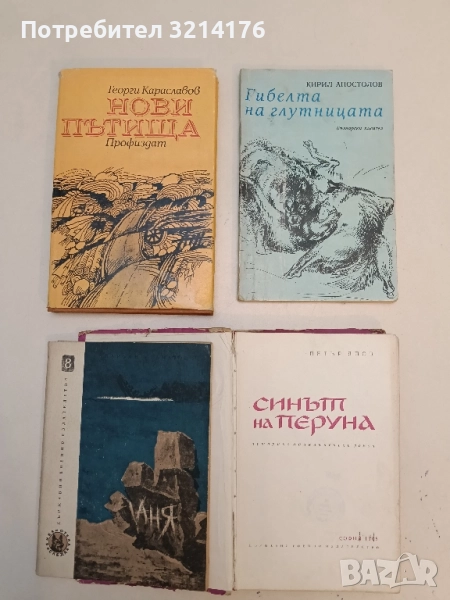 Нови пътища - Георги Караславов, снимка 1