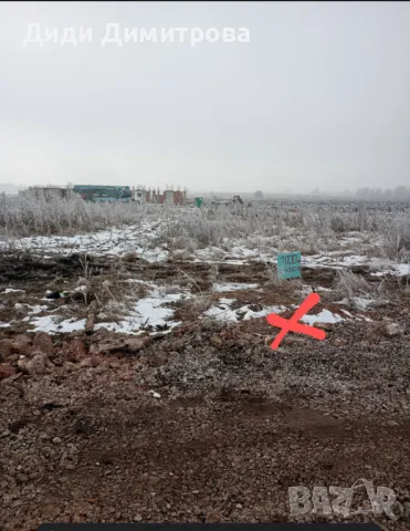 Божурище , снимка 1