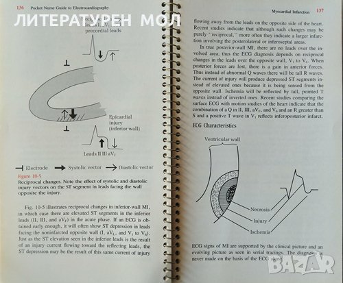 Pocket Guide to Electrocardiography. Revised Edition. Mary Boudreau Conover 1986 г. 367 illustration, снимка 3 - Специализирана литература - 37691834