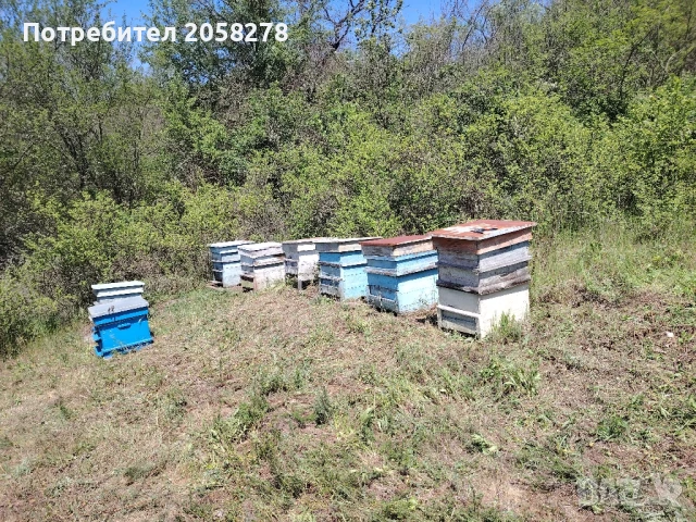 Пчелни кошери и оборудване 