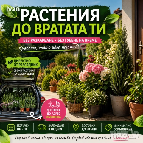 Растения от разсадник до врата