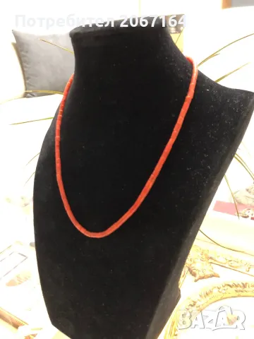 Гердан от корал, снимка 6 - Колиета, медальони, синджири - 48999001