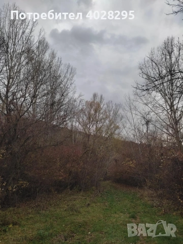 Имот в с.Габер 