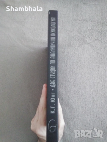 Две студии по аналитична психология К. Г. Юнг, снимка 7 - Специализирана литература - 51911285
