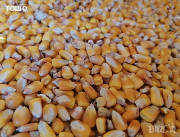 люцерна. пшеничена слама. царевица , снимка 3 - За селскостопански - 44358017