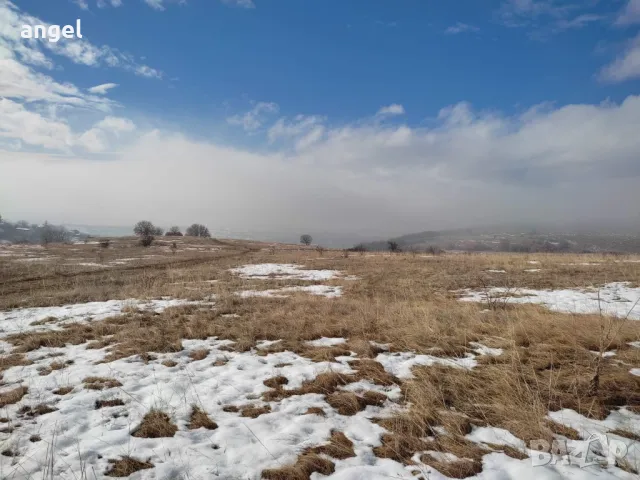 Парцел земя Драговишица, снимка 5 - Земеделска земя - 50044309