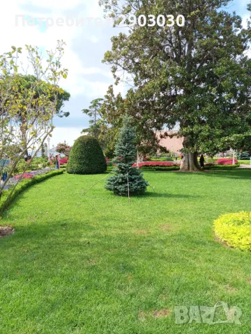 Почистване на Дворове Вили Парцели