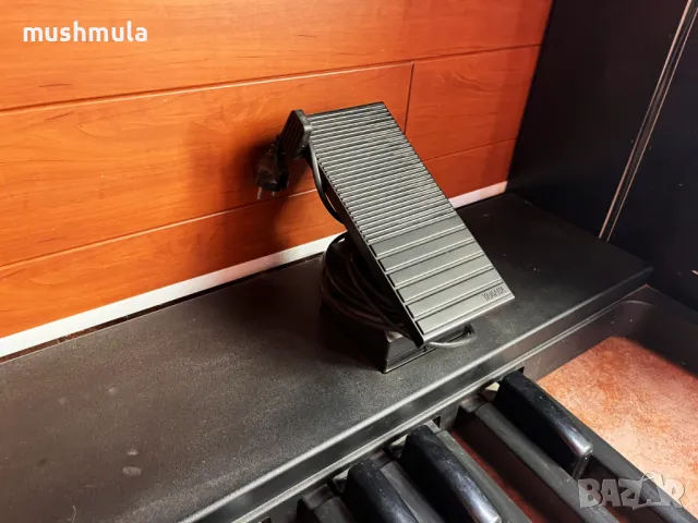 Eлeктрически орган Yamaha Electone HS-6, снимка 6 - Пиана - 49668771