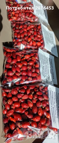 ДИВИ ШИПКИ СУШЕНИ НА СЯНКА, снимка 2 - Други - 53180002