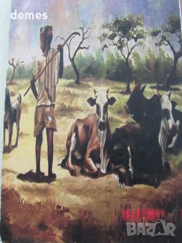 Магнит от Етиопия, снимка 4 - Колекции - 51942042