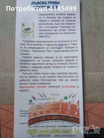 Гьби Рейши .водорасли спиролина, снимка 10 - Хранителни добавки - 52157511