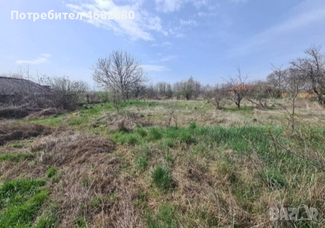 Къща с голям двор село Сухозем, обл. Пловдив, снимка 6 - Къщи - 52794824