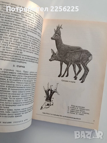 Млад ловец- учебник за кандидат-ловци, снимка 2 - Специализирана литература - 55974472