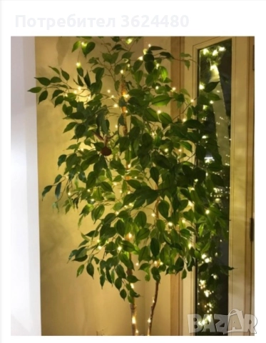 Светеща коркова тапа с Лед светлини , снимка 4 - Други - 52296533