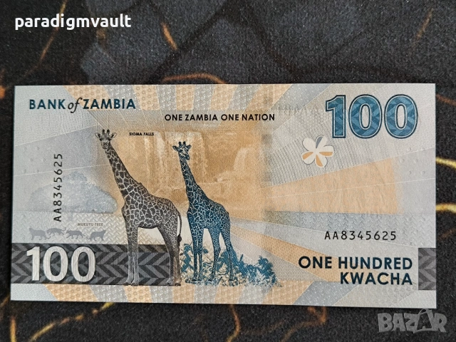 Банкнота - Замбия - 100 квача UNC | 2024г., снимка 2 - Нумизматика и бонистика - 54184162