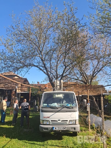 Рязане на опасни дървета, снимка 2 - Дърводелски услуги - 54318666