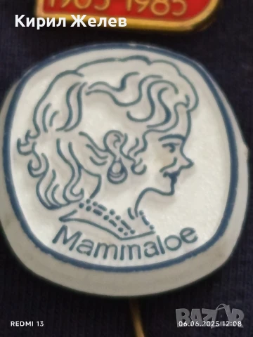 Лот значки 10 броя стари редки от соца за КОЛЕКЦИЯ ДЕКОРАЦИЯ 23628, снимка 6 - Колекции - 50572266