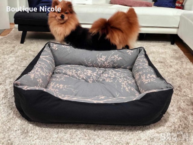 КУЧЕШКИ ЛЕГЛА 🐩❤️🐕 