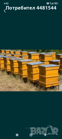 Пчелни семейства 