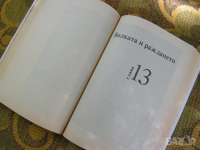 Книгите, по които е отгледано половината население на България., снимка 11 - Специализирана литература - 55878743