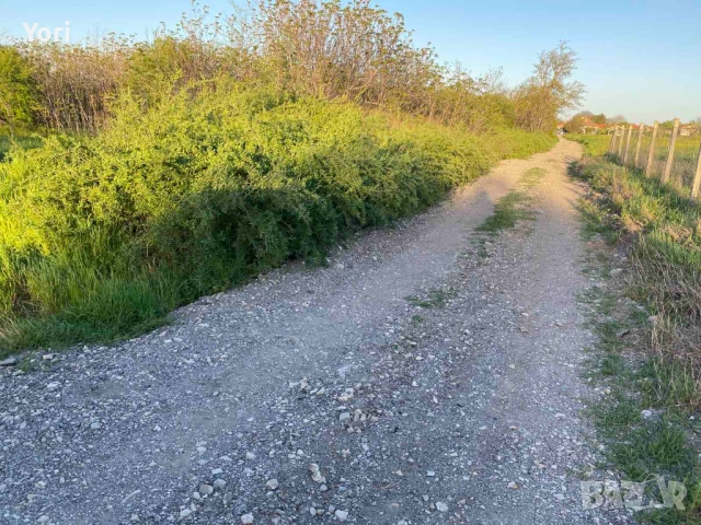 Продава се двор в гр.Козлодуй