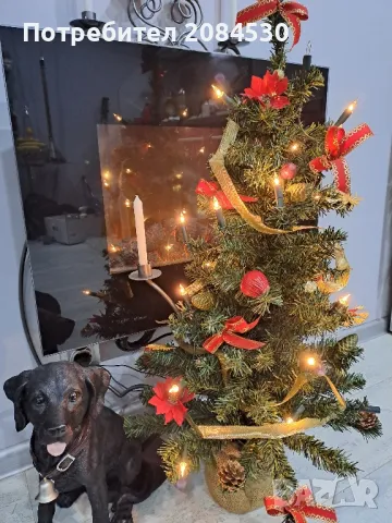 Немска елха с украса и лампички, снимка 6 - Декорация за дома - 48691857