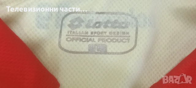 Футболна тениска Hoffenheim гостуващ екип сезон 2014/2015 Lotto R5351 размер L Хофенхайм, снимка 6 - Спортни дрехи, екипи - 51641337