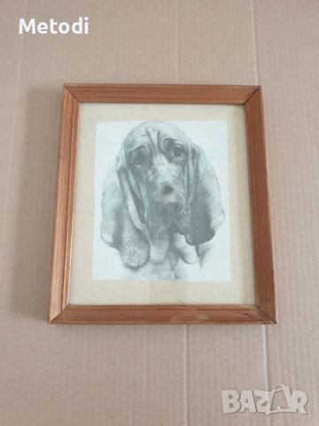 Стара снимка на куче в дървена рамка.