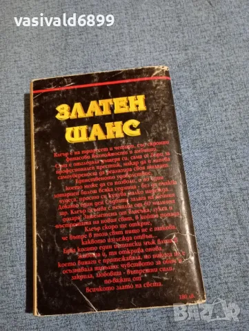 Джудит Майкъл - Златен шанс , снимка 3 - Художествена литература - 48438754