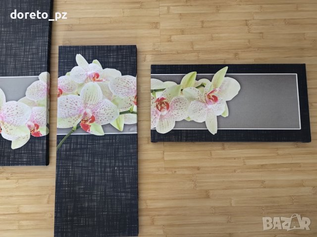 продавам картина 