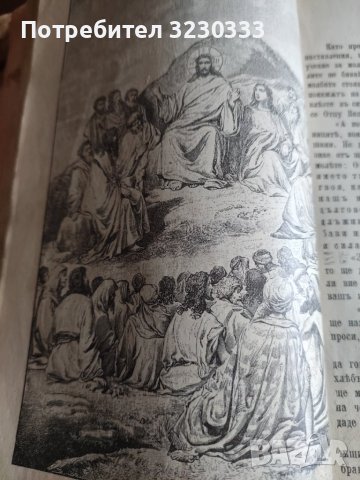 "Св. история"И Р.Блъсков 1895г.+Ботаника, снимка 11 - Антикварни и старинни предмети - 40739785