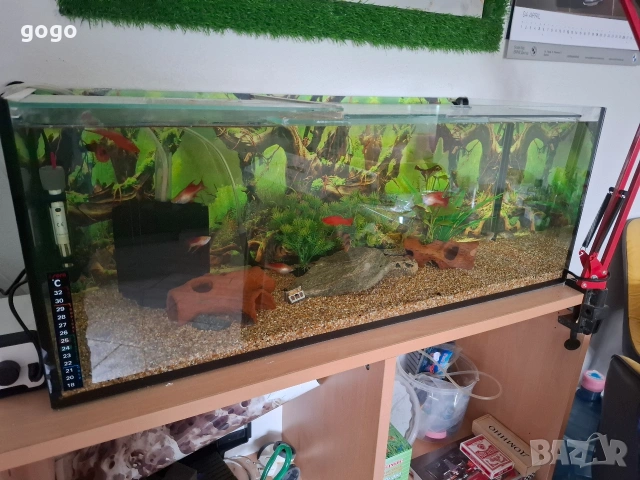 Аквариуми 4 броя, снимка 2 - Аквариуми - 54361578