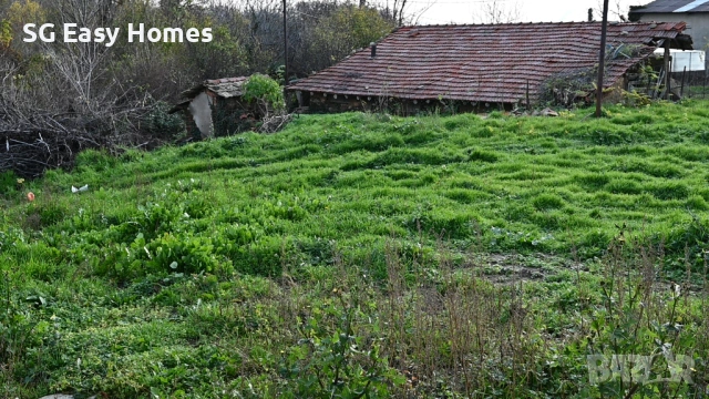 Дворно място с къща в с.Дълбоки, снимка 4 - Къщи - 53028278