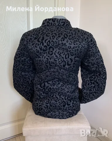 Оригинално преходно яке Guess , снимка 3 - Якета - 56364861