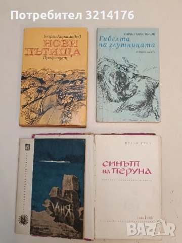 Нови пътища - Георги Караславов