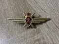 Нагръден пилотски знак ВВС, снимка 1