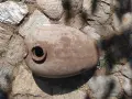 Балканче и Симсон , снимка 2