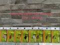 Клатушка Hearty Rise, Shimano Cardiff, Spro, Rapture спининг кефал пъстърва trout Master Area, снимка 6