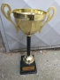 Спортна купа по карате , снимка 1