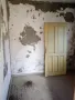 Продавам къща село Плешивец област Видин, снимка 7