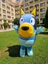 Bluey  гига блуй, снимка 2