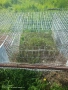 Зайчарник клетка за зайци , снимка 5